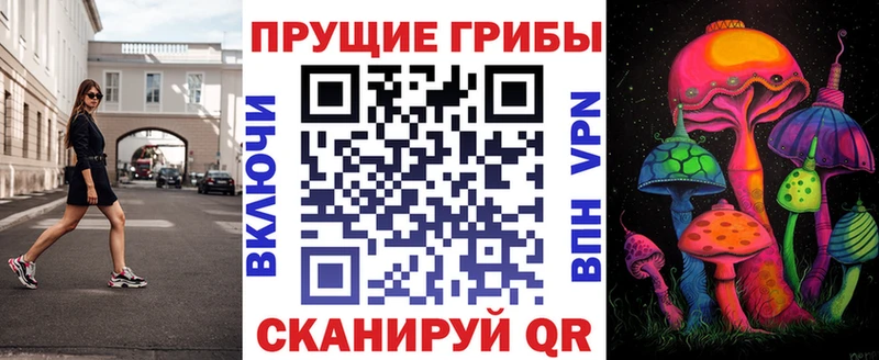 Галлюциногенные грибы ЛСД дарк нет какой сайт Семикаракорск OMG ТОР